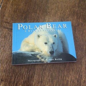 Polar Bear Postcard Book